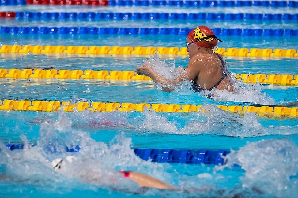 Техника плавания брассом